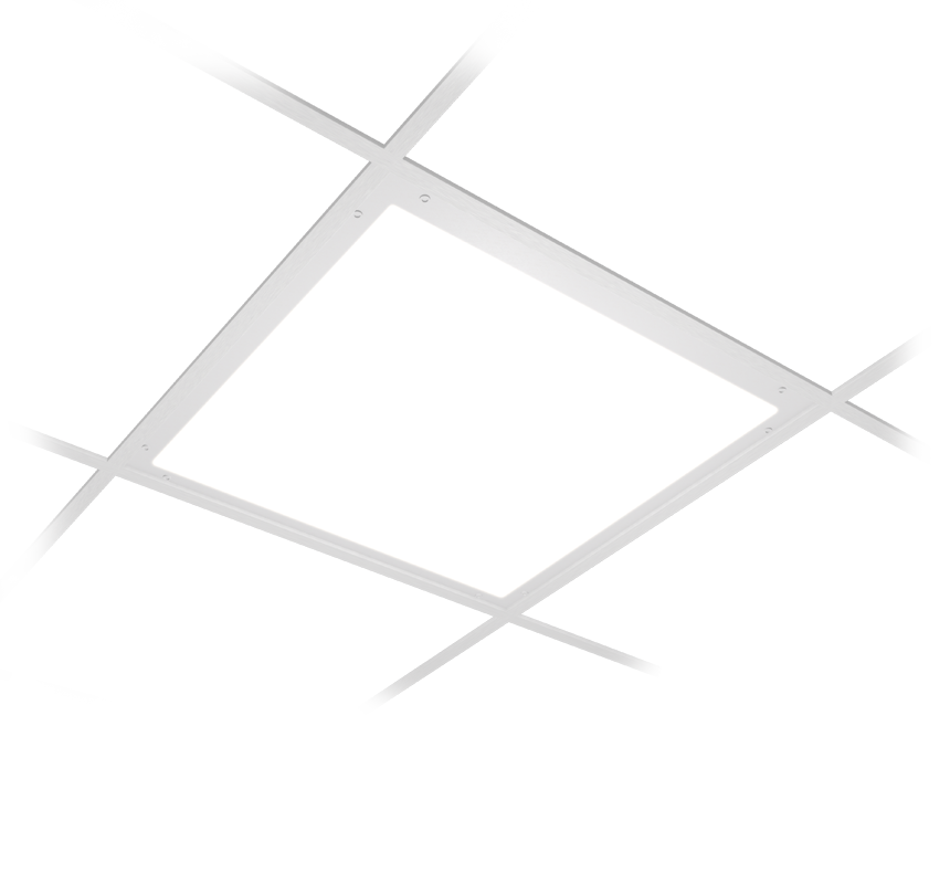 Image of LDIP