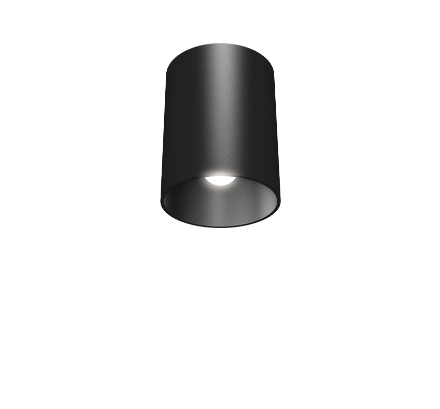 Image of Lily