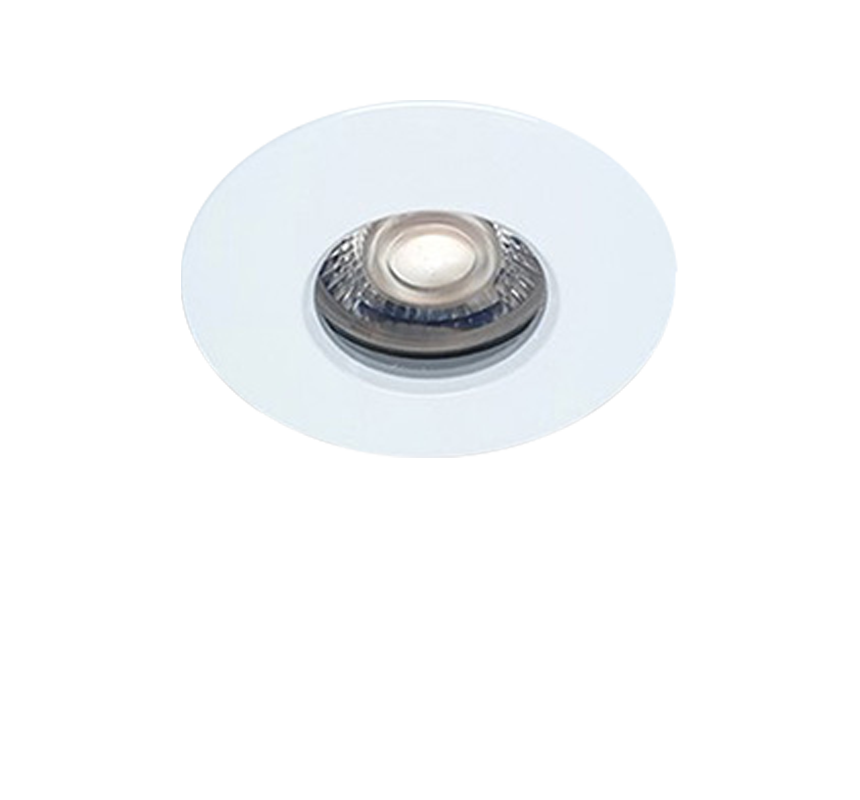 Image of Lily 3