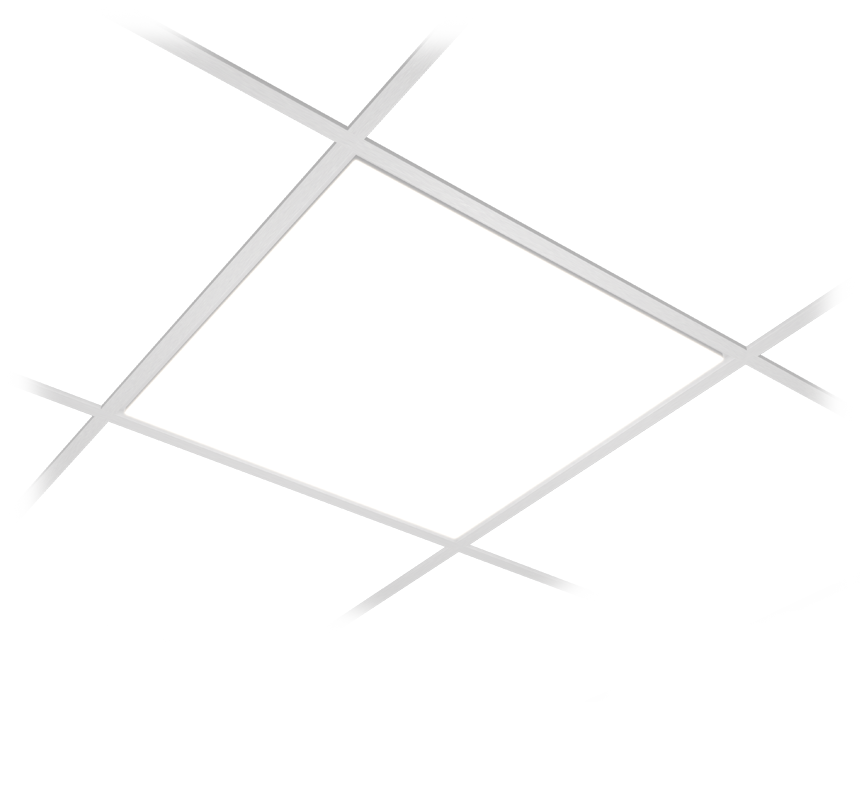 Image of Louis