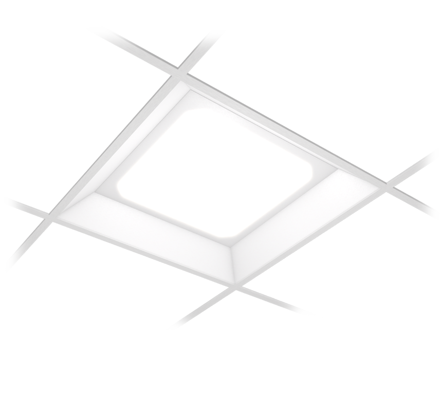 Image of Rex