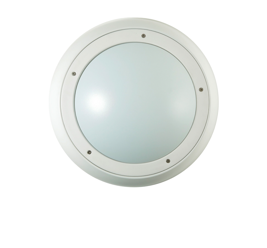 Image of Dart