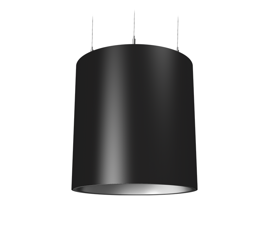 Image of Dominique 205