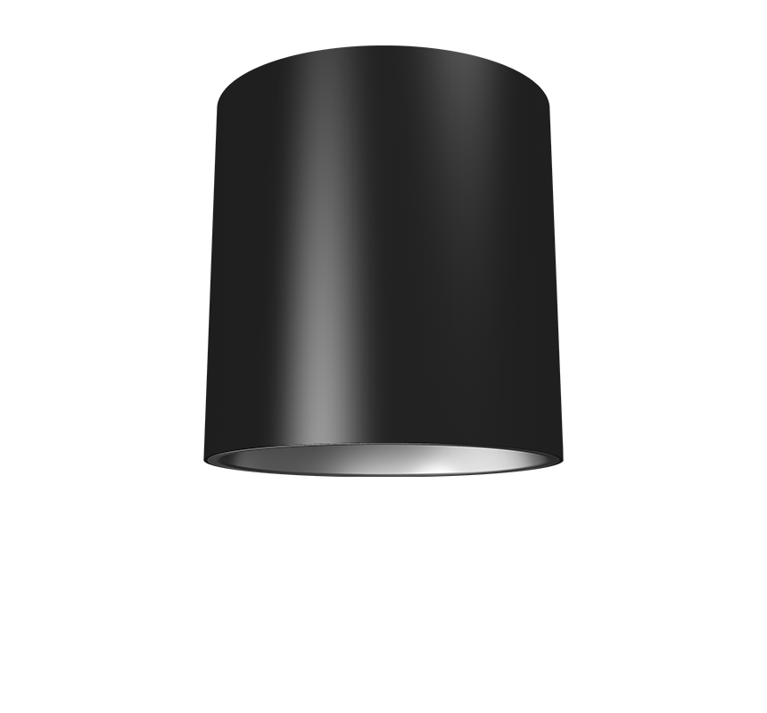 Image of Dominique 205