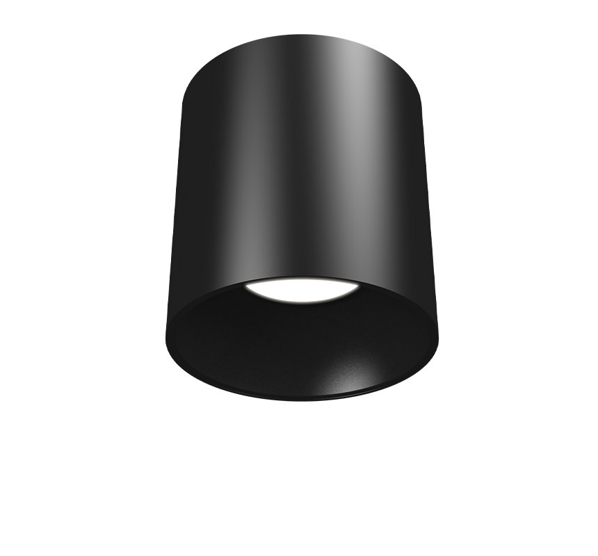 Image of Dominique 170