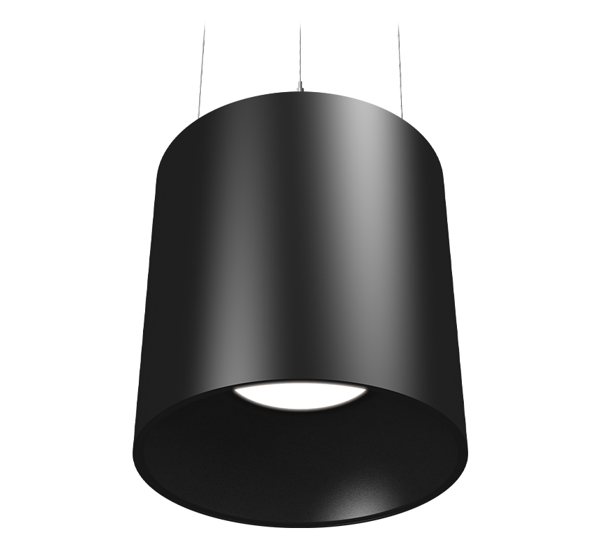 Image of Dominique 205