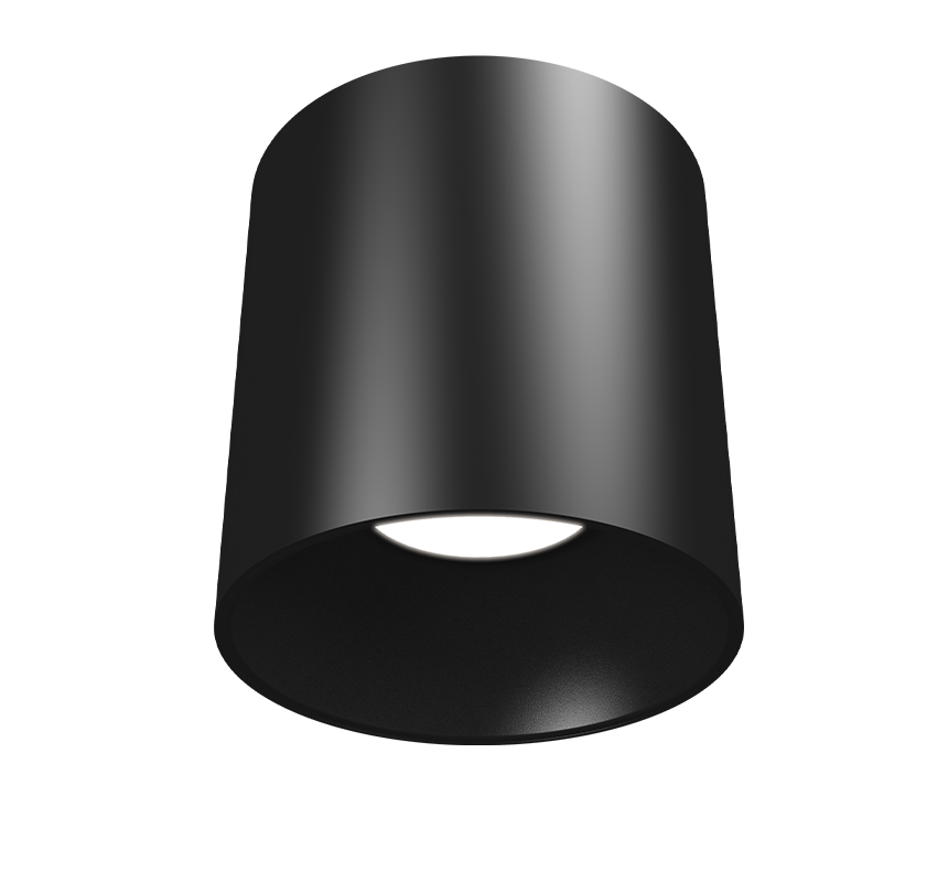 Image of Dominique 205